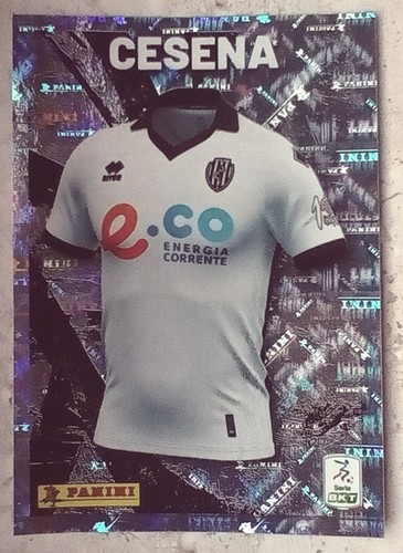 Figurina calciatori panini - calciatori,