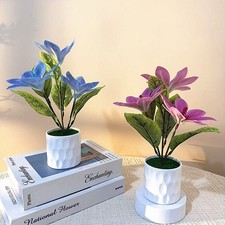 Pianta di seta magnolia tre