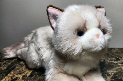 Mate floppy ragdoll gatto - floppy,