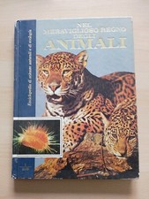 Nel Meraviglioso Regno Degli