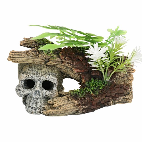 Tronco teschio decorazione