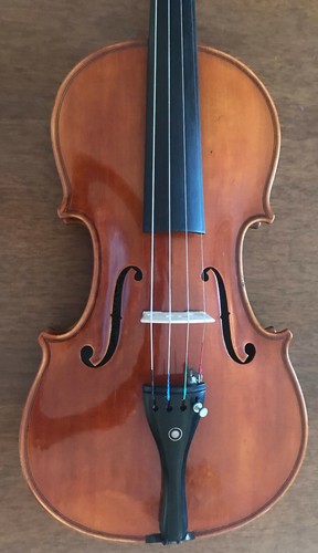 Violino vincenzo anastasio - violino,