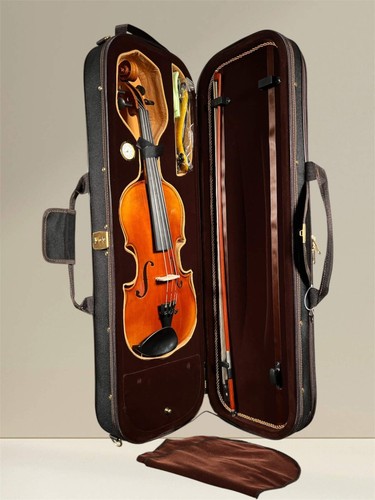 Gewa violino maestro - violino, 6