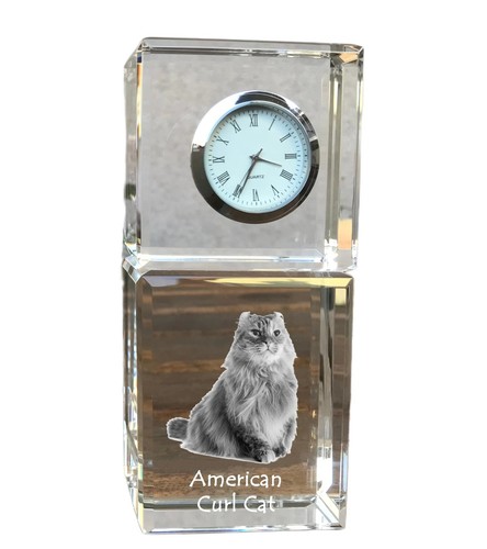 Gatto riccio americano