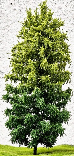 Albero modellismo h0 - 🍀2,