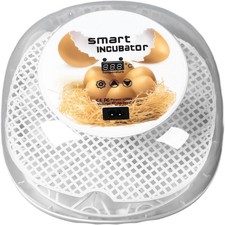 Incubatrice Uova Visibile