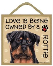 Insegna Love Is Being Owned By