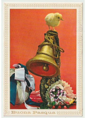 1976 foto cartolina - , buona