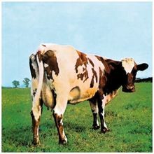 Atom Heart Mother von Pink