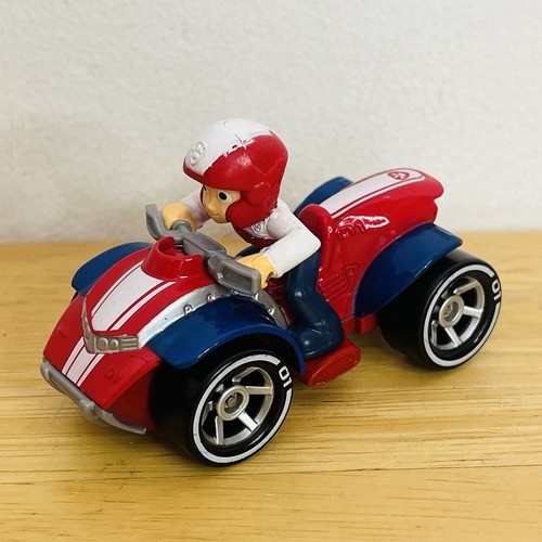 Paw patrol captain ryder - captain, quad