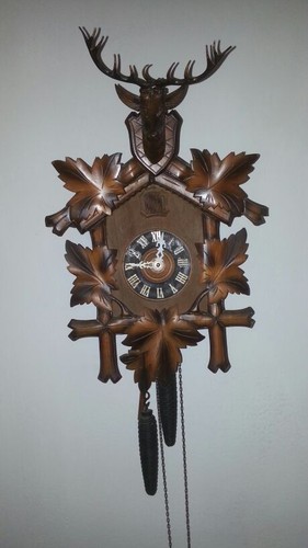 Orologio kuku west - kuku, germany
