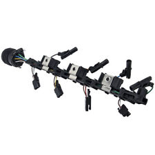 Injector Wiring Loom Iniettore