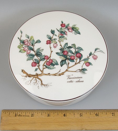 Villeroy boch botanica - &,