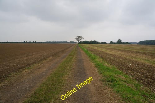 Photo 6x4 path leading the - 6x4,