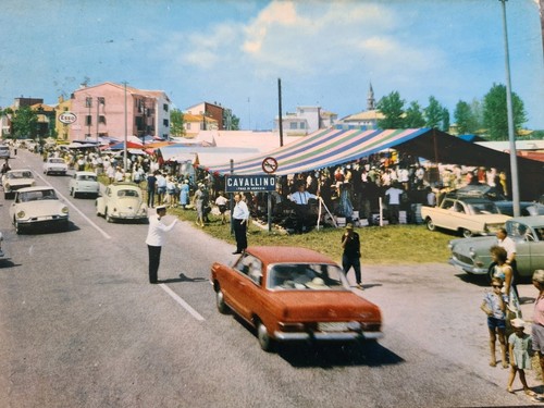 Cavallino mercato - il,