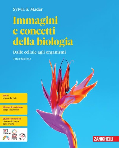 Libro nuovo immagini e - libro,