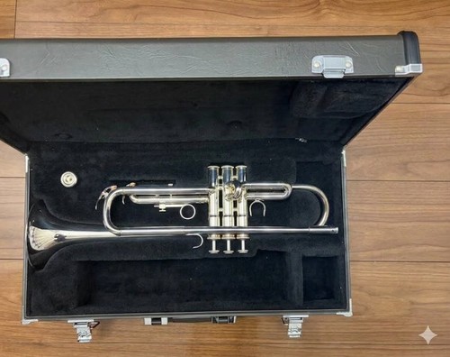 Strumento fiato placcato - strumento, a