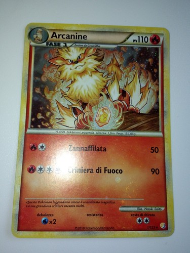 Pokemon card arcanine - pokemon,