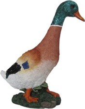 GERMANO REALE 31X12X36 CM