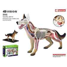 4D Vision Animale Cane Animale