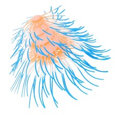  Decorazione Del Serbatoio Dei