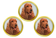 Inglese Cocker Spaniel Palla