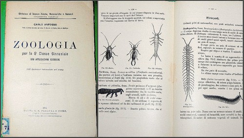 Carlo anfosso libri - 3,