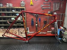 de rosa professional preserved