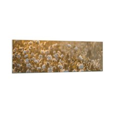 Quadro su Vetro 160x50cm