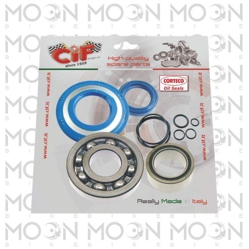 Kit revisione albero - revisione, motore