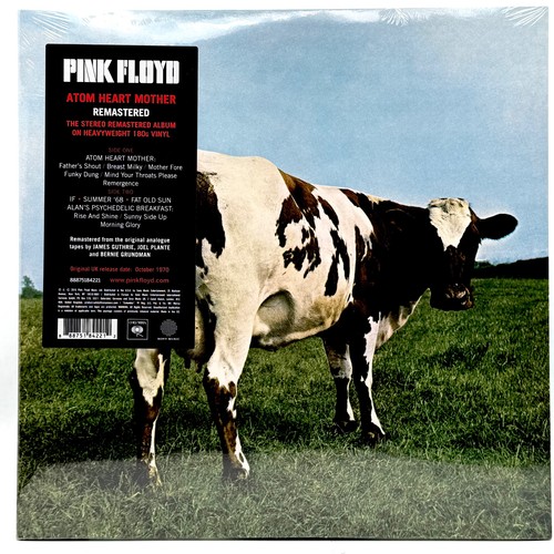 Pink floyd atom - heart, mother
