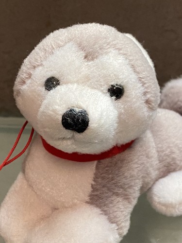 Trudi peluche cane - 🐶trudi,