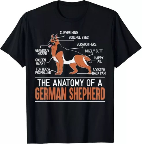 The anatomy german - the, of