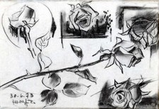 ETTORE FICO  ROSE  30 . 6 . 73