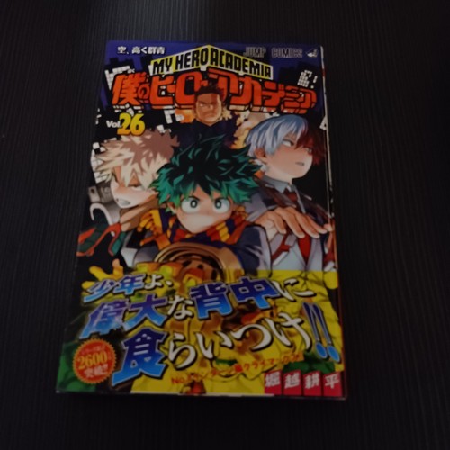 Hero academia vol con - my,