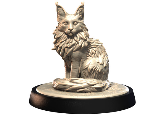 Main coon pose - main,