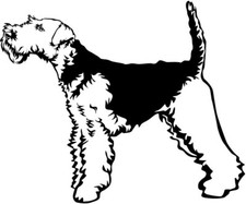Adesivo WELSH TERRIER -
