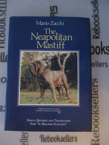 Neapolitan mastiff molosso - mastiff:,