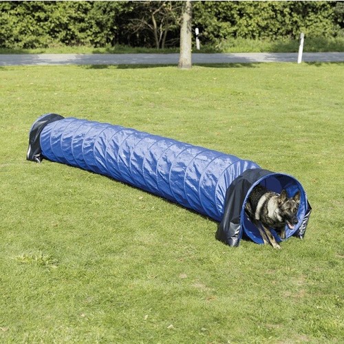 Tunnel agilità per cani - agilità,