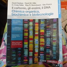 Il carbonio, gli enzimi, il