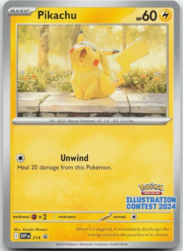 Pikachu concorso - pikachu, (concorso