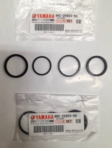 Kit revisione pinza freni - kit,