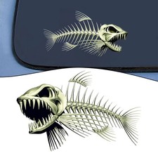 Decorato E Attraente Scheletro