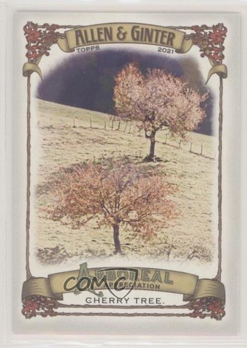 2021 topps allen ginter s - 2021, &