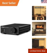 300W x 2 HiFi Class D Mini