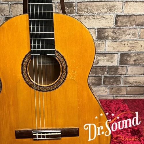 Chitarra flamingo conde - chitarra,