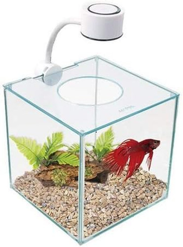Cubus glass betta - betta, –