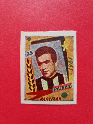 Bozidar pajevic - pajevic, partizan)