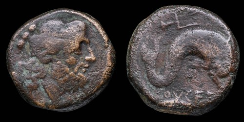 Terunzio greco puglia luceria - greco,,