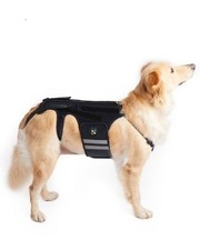 Coodeo Tutore Schiena per Cani